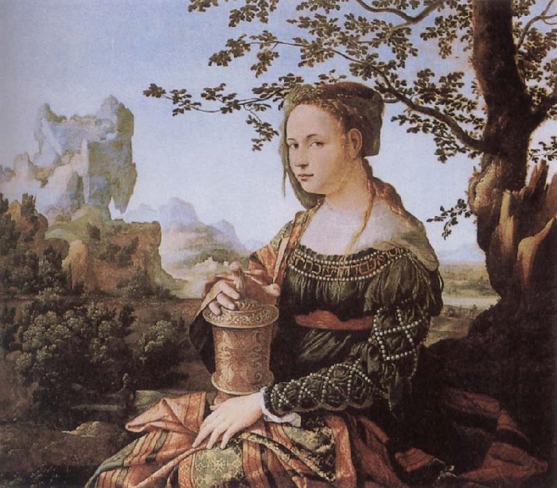 Jan van Scorel Mary Magdalene oil painting image